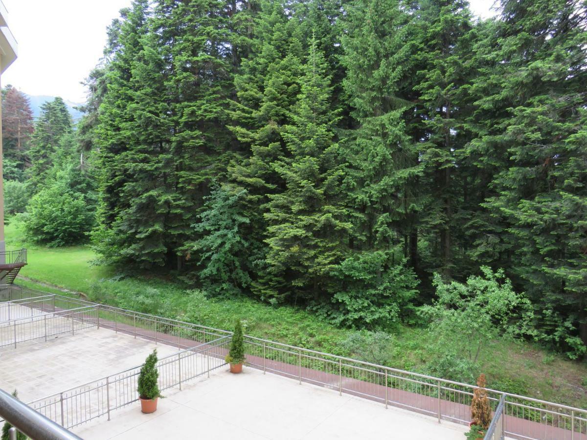 Rivendell Apartments Flora Complex ボロヴェッツ エクステリア 写真